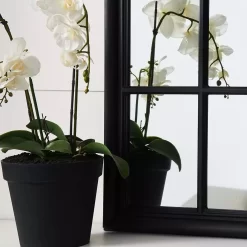 Martinique Curved Mirror -Fashion Furniture Store 1090093 C