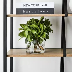 Catalina Shelf -Fashion Furniture Store 1117259196 C