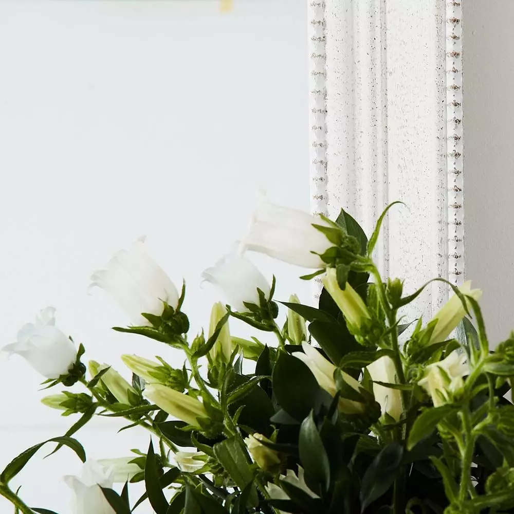 Darling Mirror 8 Darling Mirror - Image 6