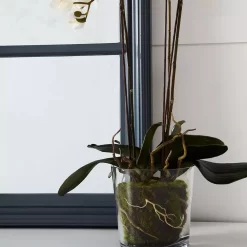 Martinique Mirror -Fashion Furniture Store 1117260824 c